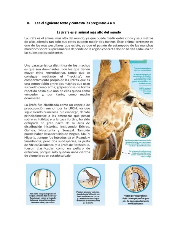 Evaluación de comprensión lectora de textos no literarios