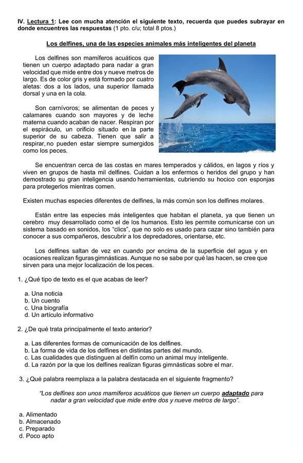 Evaluación 4° año "Artículo informativo"