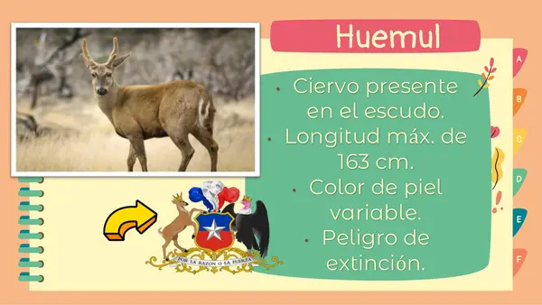Ppt Flora y fauna Chilena