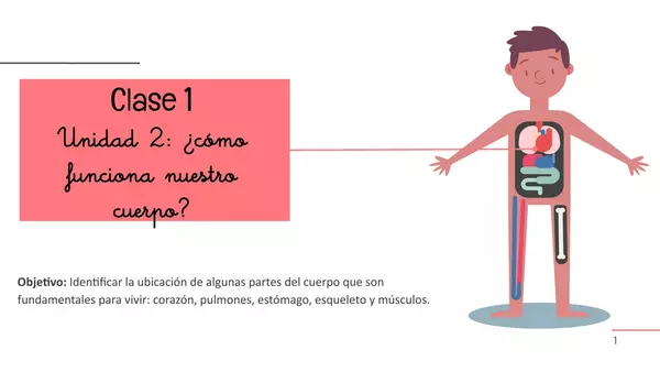Clase introducción "principales órganos seres vivos"
