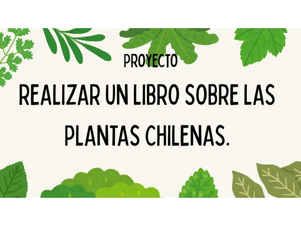 Libro "Plantas autóctonas Chilenas"