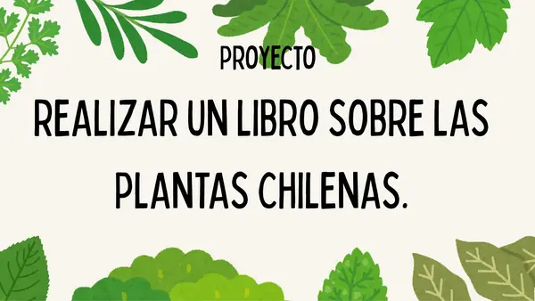 Libro "Plantas autóctonas Chilenas"
