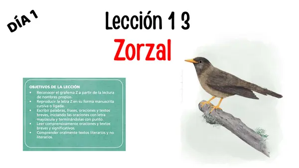 Lección 13 Zorzal Parte 2 Mayúsculas Método Matte
