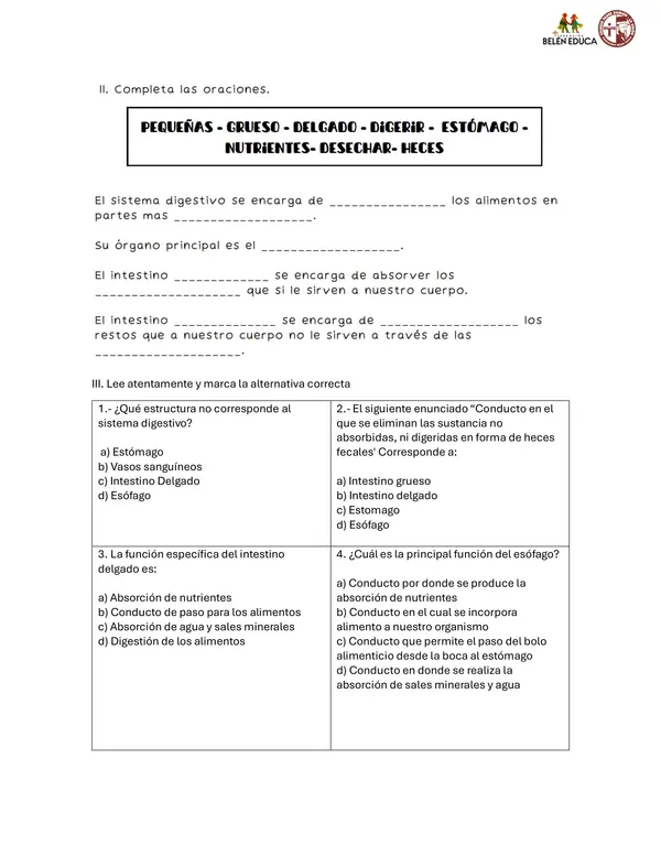 sistema digestivo y sistema circulatorio