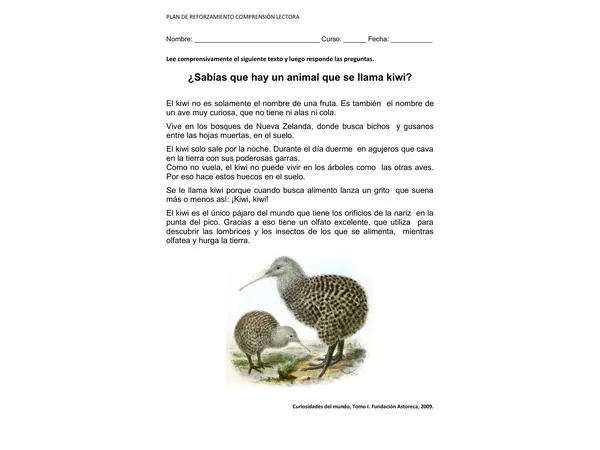 El kiwi