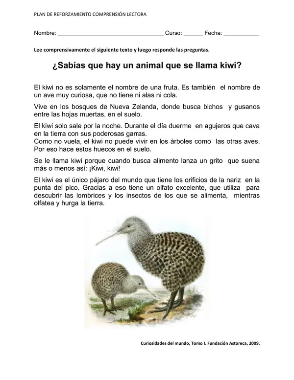 El kiwi