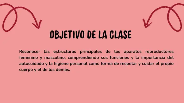 Los aparatos reproductores