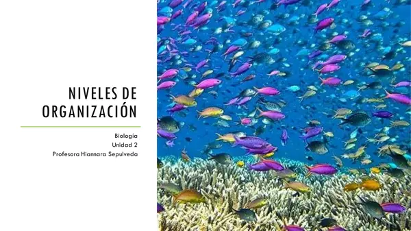 Niveles de organización 