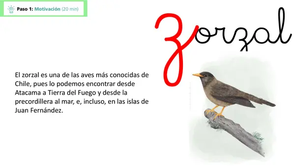 Lección 13 Zorzal Parte 2 Mayúsculas Método Matte