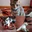 Pablo Poblete Espinoza - @pablo.poblete