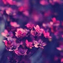 Javiera Fuentes - @javiera.fuentes.a