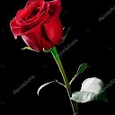 KAREN MARY QUISPE ROJAS - @karen.mary.quispe.roj
