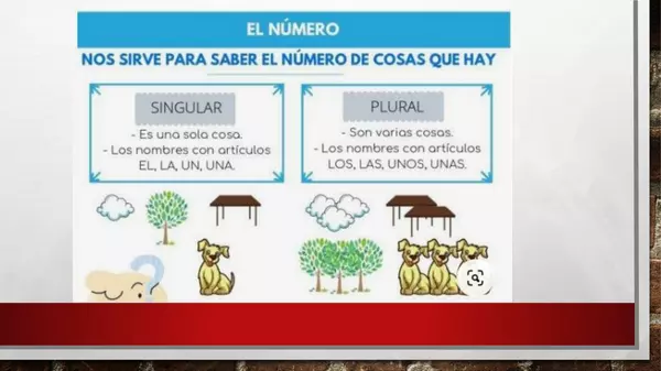 género y número  