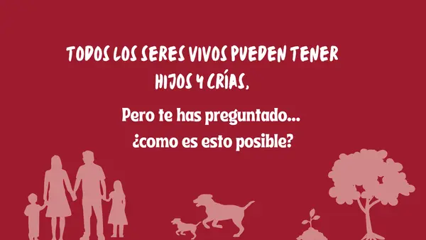 Los aparatos reproductores