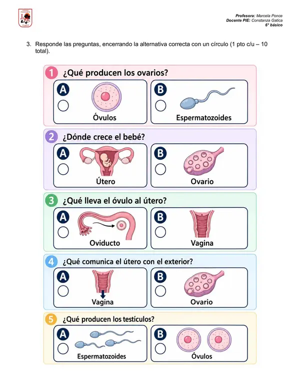 PRUEBA PUBERTAD Y SISTEMA REPRODUCTOR
