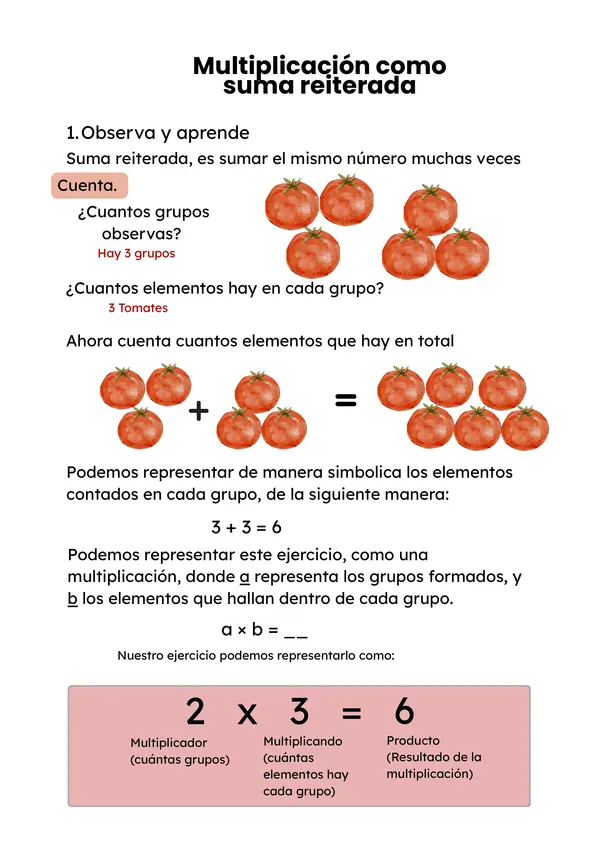 Cuadernillo de Multiplicación Comprensiva