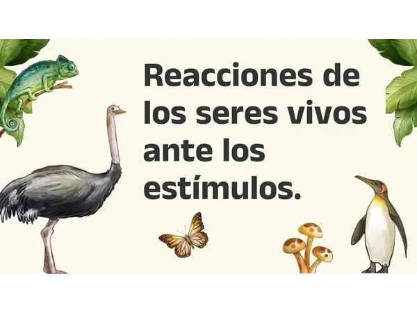 Reacciones de los seres vivos