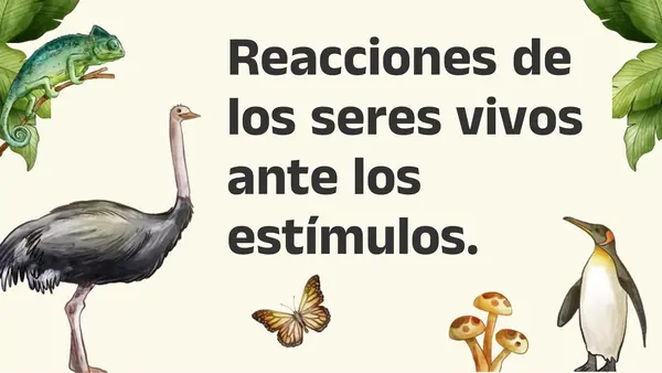 Reacciones de los seres vivos