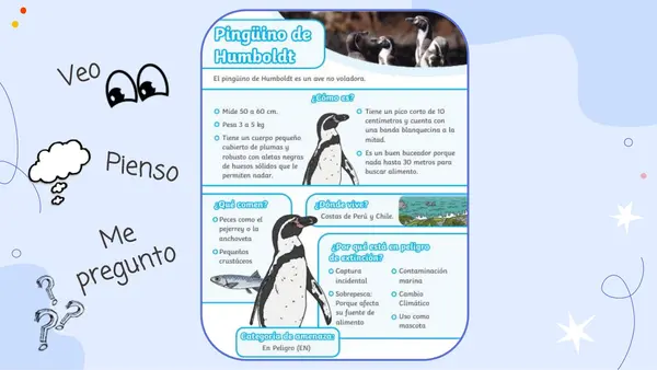 Artículo informativo