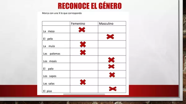 género y número  