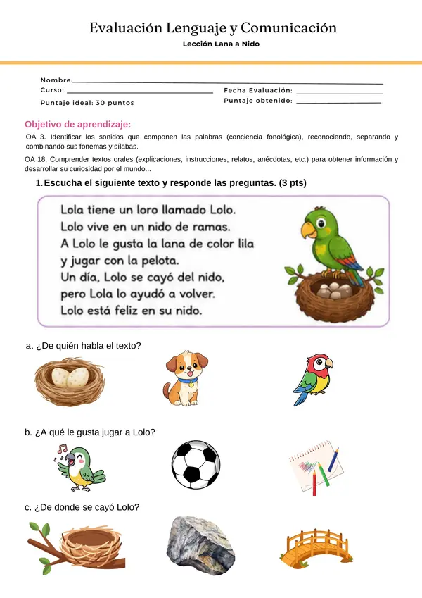 Evaluación Método Matte Lección Lana,Loro,Nido