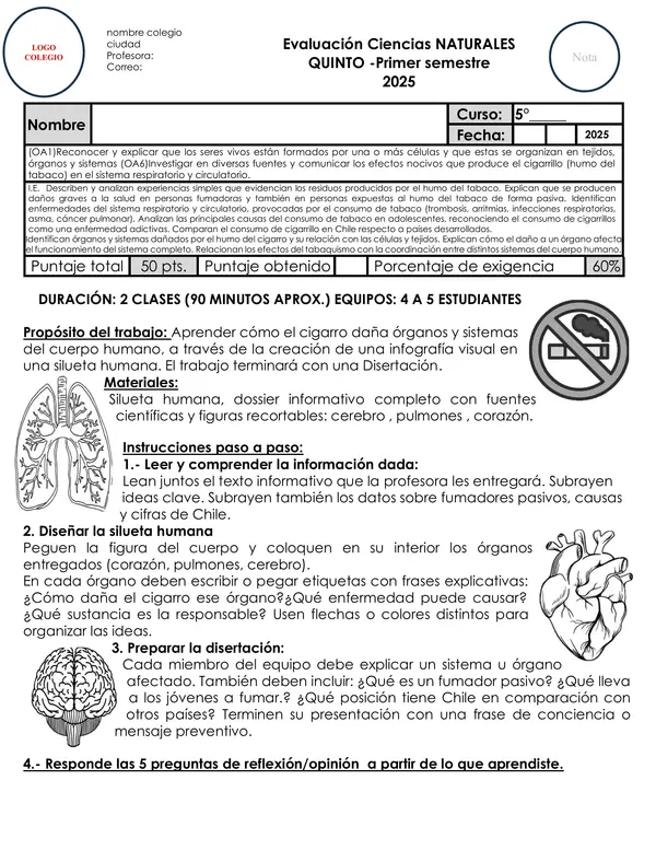 Evaluación Ciencias Naturales 5° Básico Efectos del Tabaco en Órganos y Sistemas del Cuerpo