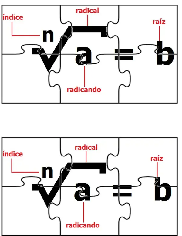 Puzzle de raíz
