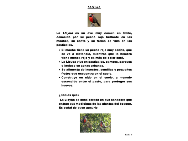 Informacion Lloyka