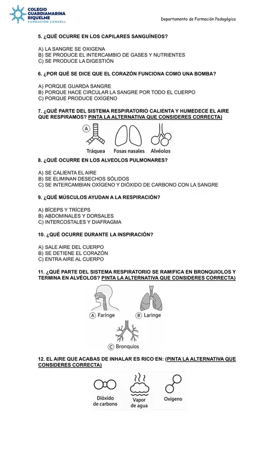 Evaluación Sistema circulatorio y Sistema respiratorio (A.C)