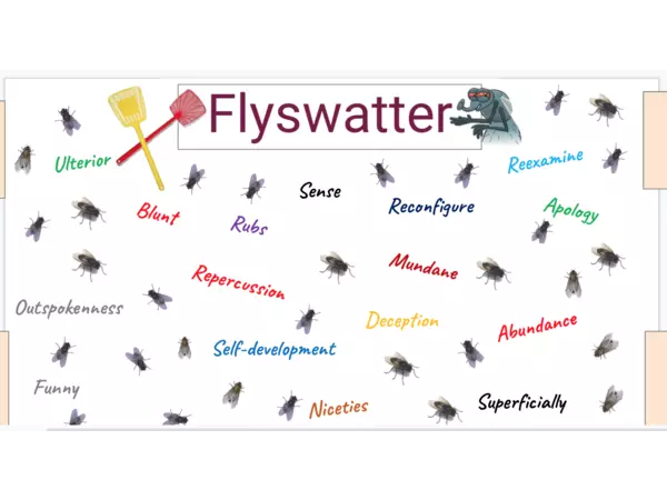 Flyswatter game