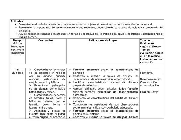 Todas las planificaciones anuales de Primero Basico , mas de 100 paginas de contenido