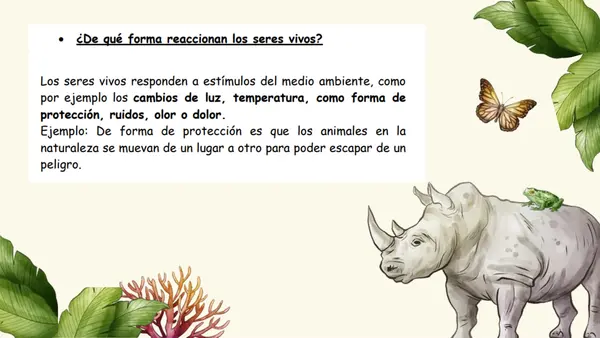 Reacciones de los seres vivos