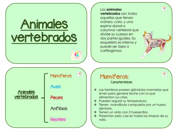 CLASIFICACIÓN DE ANIMALES VERTEBRADOS