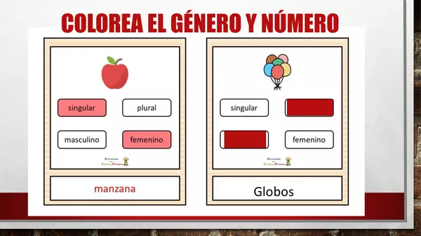 género y número  