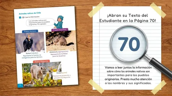 Clase 9 Leccion 3 Unidad 2 "Animales nativos de Chile" 2 Básico