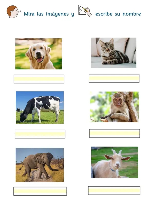 ANIMALES MAMÍFEROS