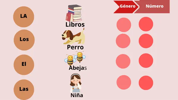 Artículos - sustantivos y adjetivos