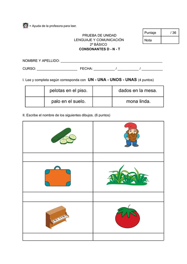 Evaluación D N T 