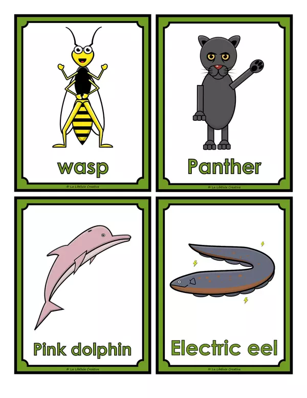 Flash Cards Jungle Animals Wild Cut Color