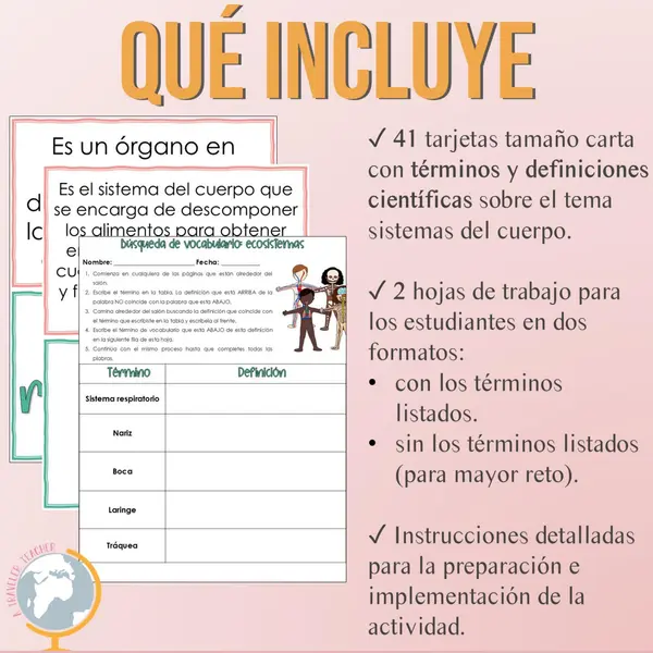 Sistemas del cuerpo Vocabulario Búsqueda del Tesoro