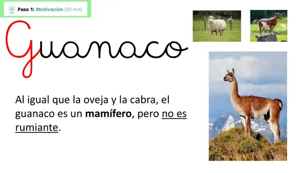 Guanaco Lección 5 Parte 2 Método Matte