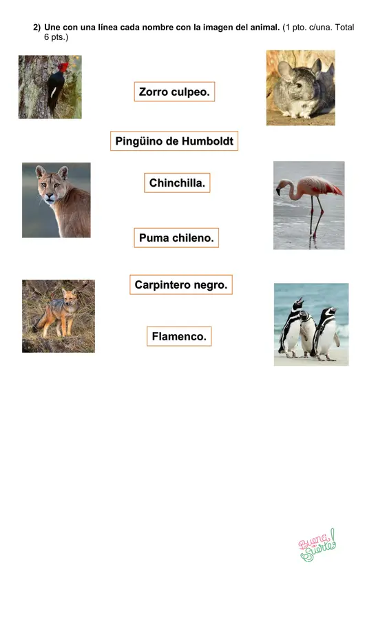 Prueba de Ciencias Naturales Primero básico Plantas y animales de Chile Unidad 2