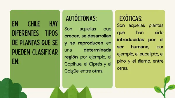 Libro "Plantas autóctonas Chilenas"