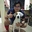 Mario A Cruz Ojeda - @mario.a.cruz.ojeda