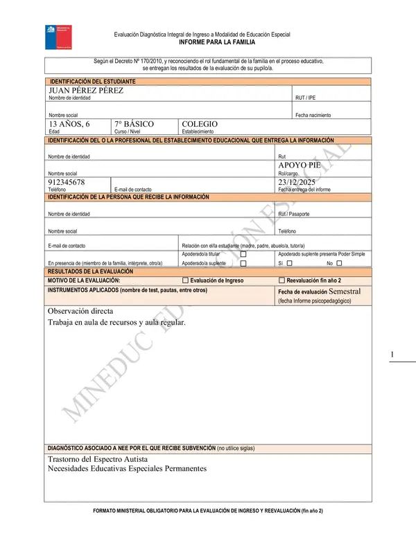 Formato Informe para la familia 