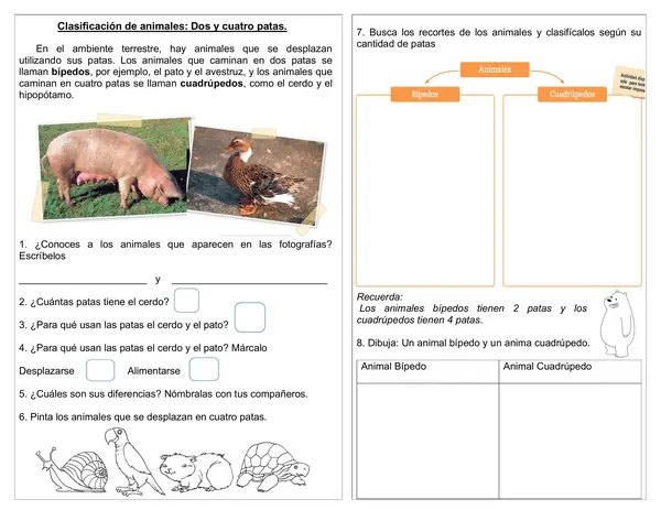 Guía de ciencias 1°año "Clasificación de animales: Bípedos y cuadrúpedos"
