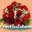 Natividad Chullo Huaylla - @natividad.chullo.huay