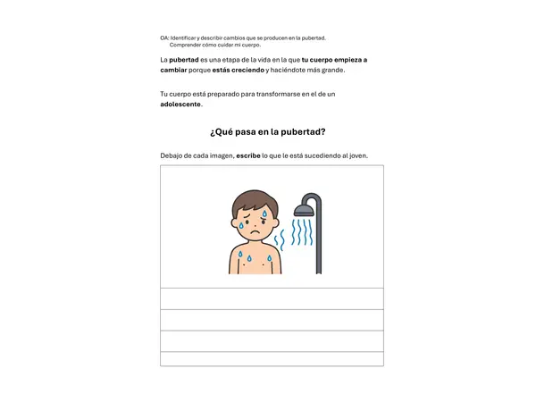 Ciencias Naturales. 6° básico. Pubertad.  TEA