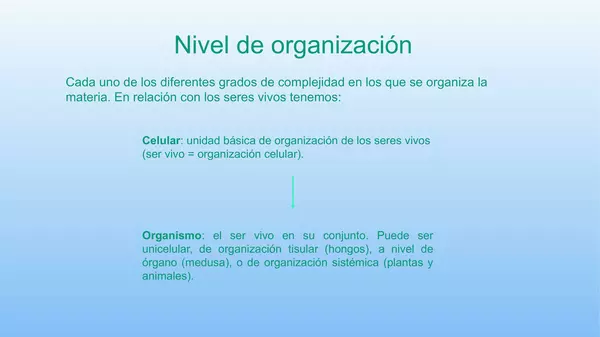 Presentacion  El cuerpo Humano, Octavo Basico, Cs Naturales