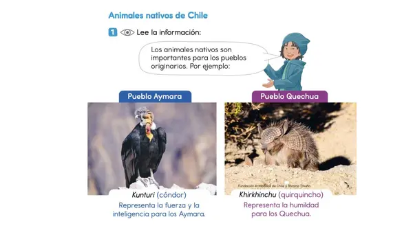 Clase 9 Leccion 3 Unidad 2 "Animales nativos de Chile" 2 Básico